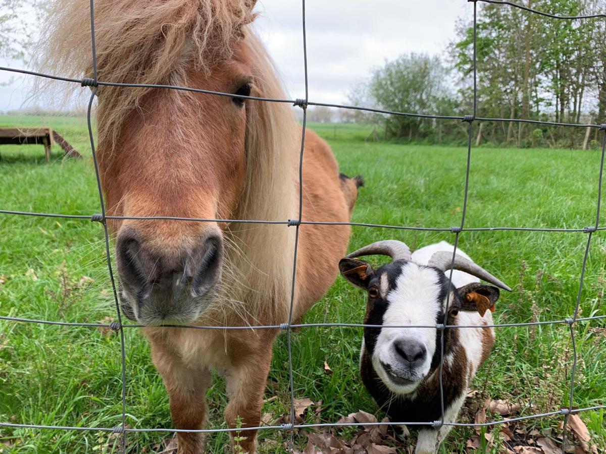 De Scheure, Charmant Vakantiehuisje Midden In De Natuur Alveringem ภายนอก รูปภาพ